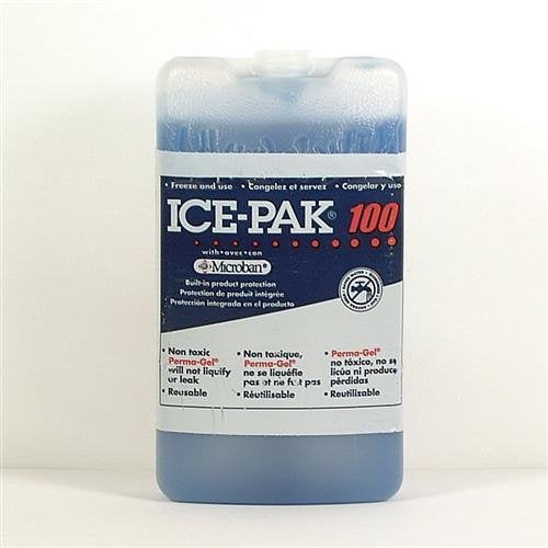 Bulk Buys Ice Pack For Cooler - Plastic Block - Case of 24