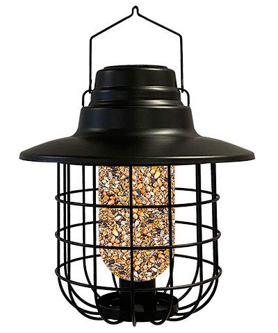 Woodlink Modern Farmhouse Caged Bird Feeder & Solar Light