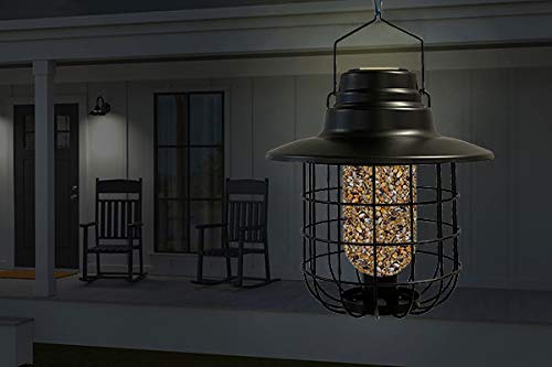 Woodlink Modern Farmhouse Caged Bird Feeder & Solar Light