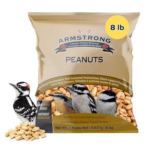 Armstrong Easy Pickens Peanuts 3.63kg, Medium 1 Piece