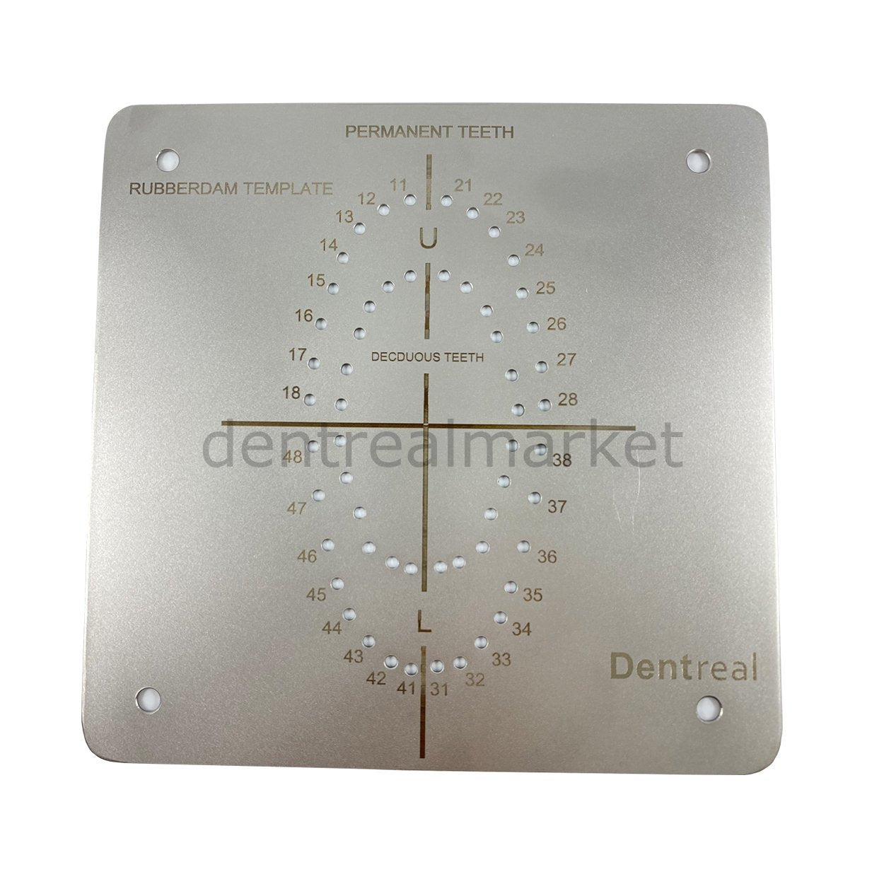 Dentreal - Drm Rubberdam Clamp and Tool Set + Rubberdam Template