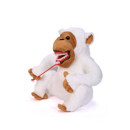 Sunray - White Monkey Tooth Brush Teaching Model