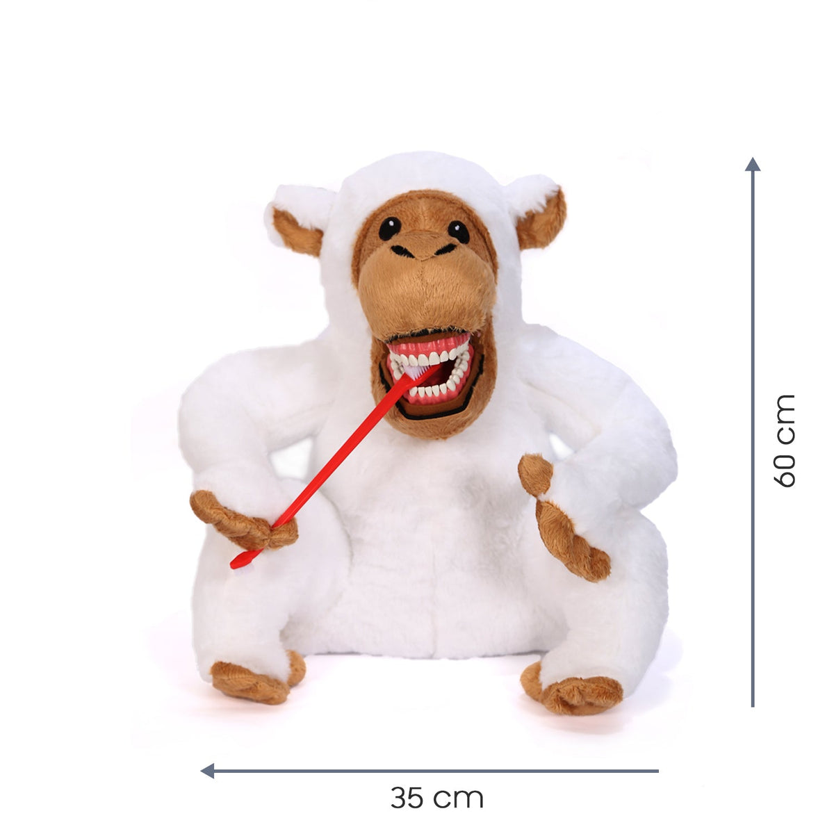 Sunray - White Monkey Tooth Brush Teaching Model