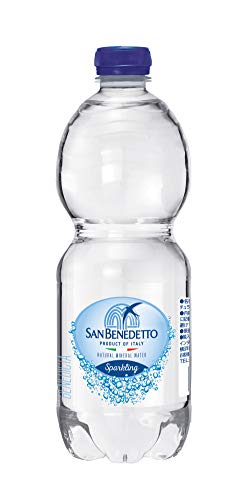 San Benedetto (Sanbenedetto) 500mlX36 this natural sparkling mineral water [regular imported goods]