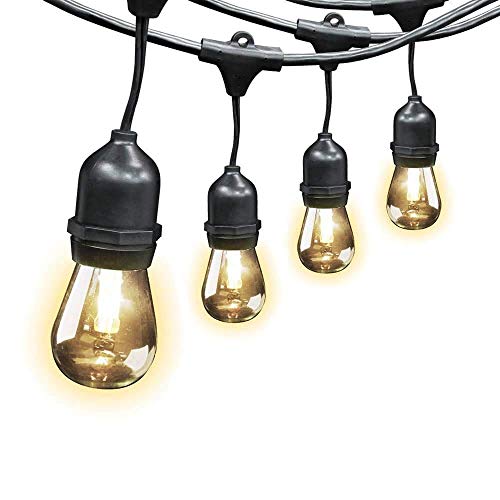 Feit Electric Weatherproof Indoor/Outdoor String Lights, 48ft Patio Lights with 24 Sockets 60 cm / 2ft Apart, Includes 24 Screw Base LED Bulbs Plus 2 Spares, For Backyard Patio Lights, Hanging Indoor/Outdoor String Light for Bistro Pergola, Deck Yard, Ten