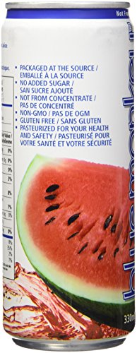BLUE MONKEY 100% Watermelon Juice 330mL, 12 count