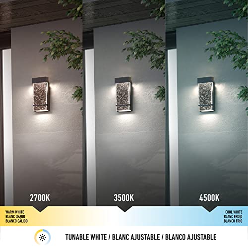 Essence Bubble Glow Box LED Porch Sconce Cylinder, 6" Modern Wall Mount Weather Resistant Outdoor Light.