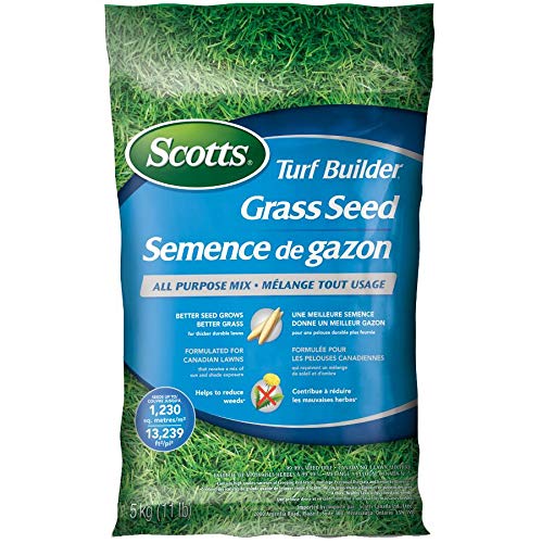 Scotts 20238 Turf Builder Grass Seed All Purpose Mix 5Kg