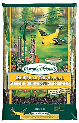 Morning Melodies 409-211 Gold Finch Thistle Seed 3.64kg, 1 Piece, One Size