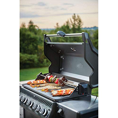 Napoleon Grill Light with Four high-powered LED lights 70049