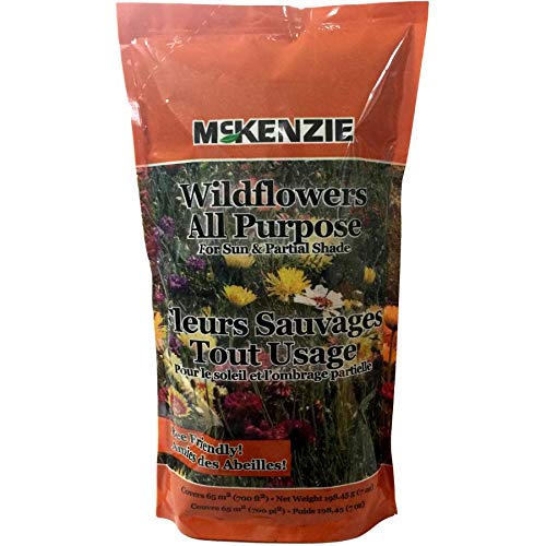 4 X 198g Wild Flower All-Purpose Mix Flower Seeds