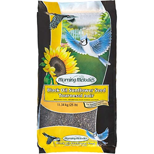 11.34kg Black Oil Sunflower Bird Seed