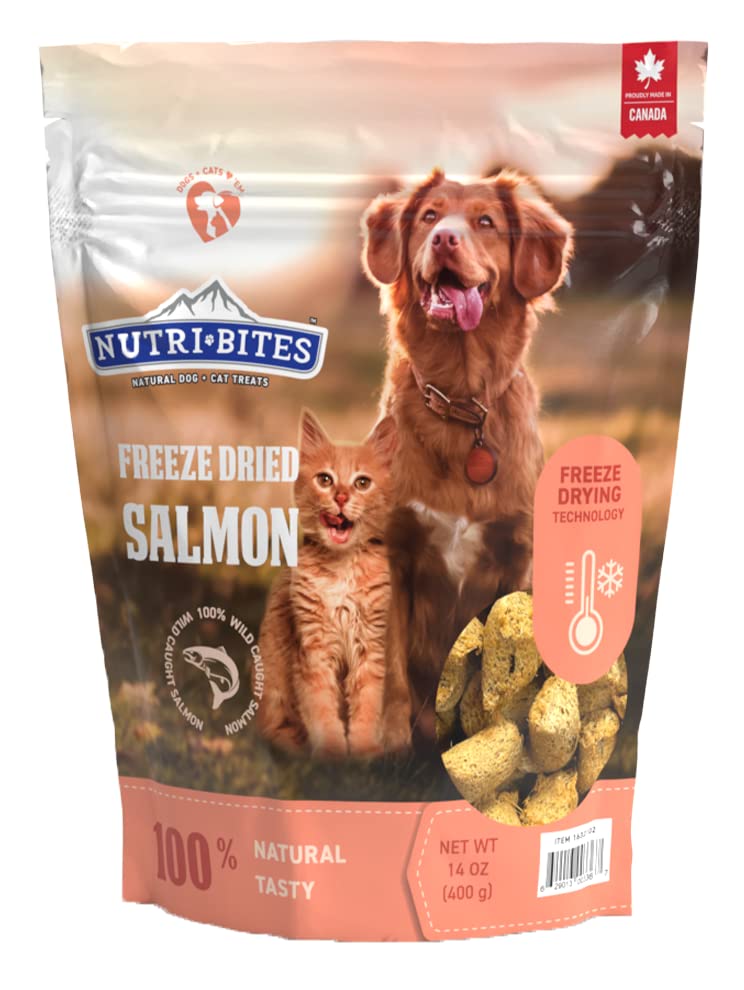 Nutri Bites - Freeze Dried Salmon Treats for Dogs and Cats, 14 OZ /400 g - Value Pack