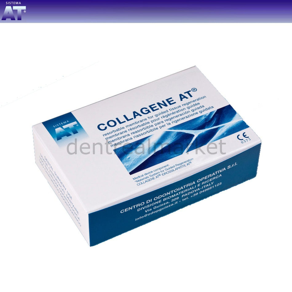 Collagene Horse Membrane - 22*22 mm - 6 Pcs