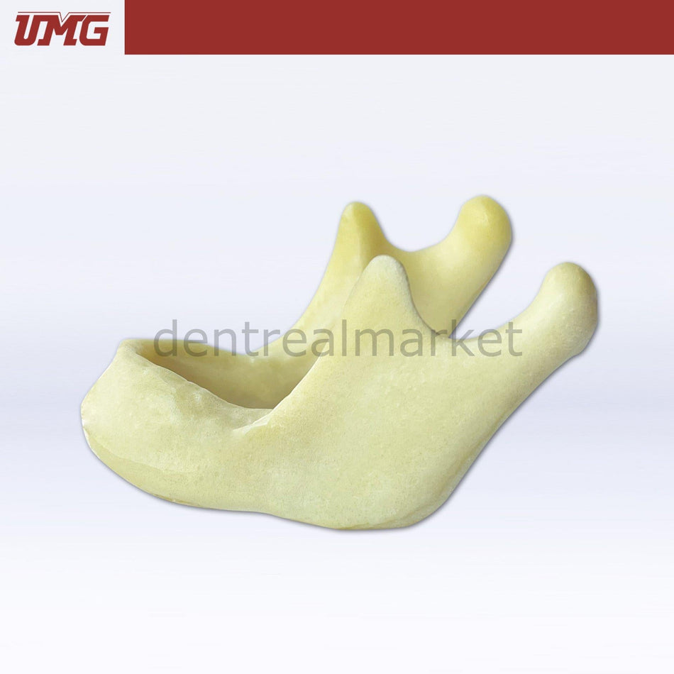 Umg Model  Drilling Practice Jaw Model - UM-Z2022