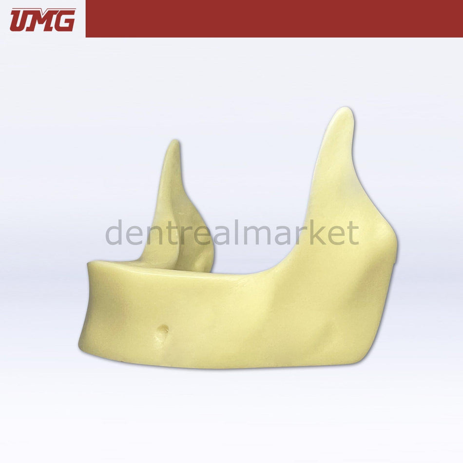 Umg Model Implant Application Training Model - UM-Z2025